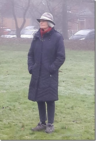 Gosmore Green 3.jpg
