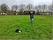 Gosmore Green 6.jpg