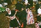 Hitchin Gathering - Dutch.jpg